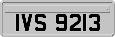 IVS9213