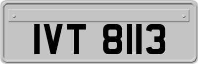 IVT8113