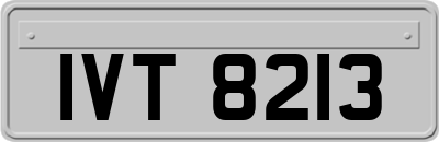 IVT8213