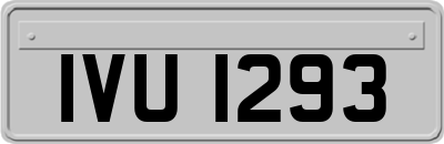 IVU1293