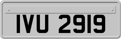 IVU2919