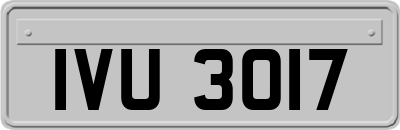 IVU3017