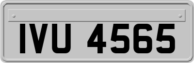 IVU4565
