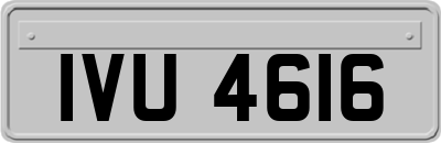 IVU4616