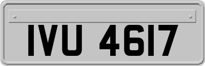 IVU4617