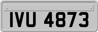 IVU4873