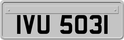 IVU5031