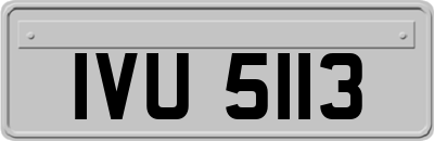 IVU5113