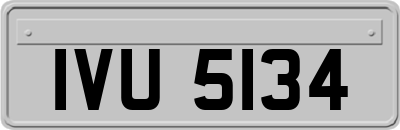 IVU5134