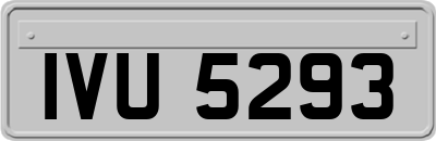 IVU5293