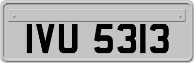 IVU5313