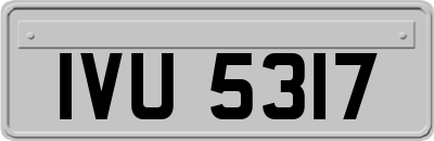IVU5317