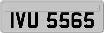 IVU5565