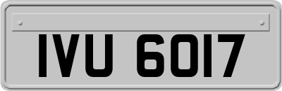 IVU6017