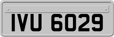 IVU6029