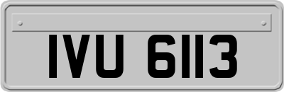 IVU6113