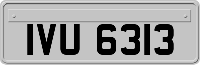 IVU6313