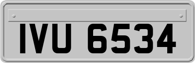 IVU6534