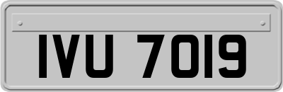 IVU7019