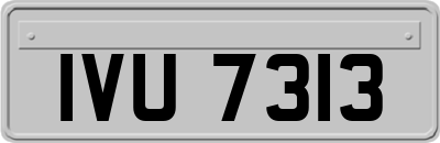 IVU7313