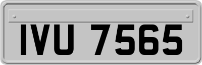 IVU7565