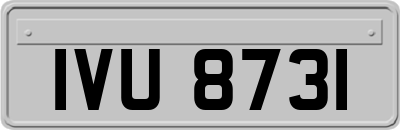 IVU8731