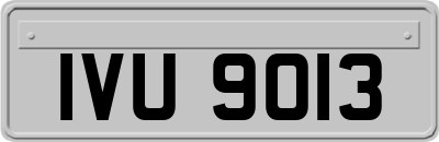 IVU9013