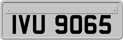 IVU9065