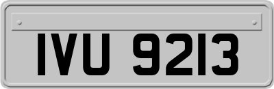 IVU9213