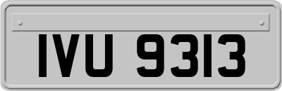 IVU9313