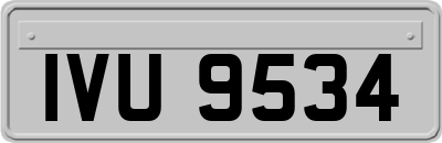 IVU9534
