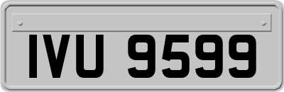 IVU9599