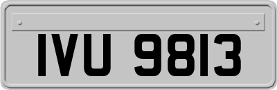 IVU9813