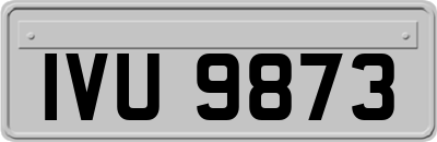 IVU9873