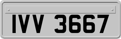 IVV3667