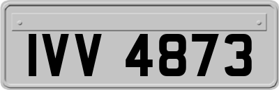 IVV4873