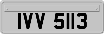 IVV5113