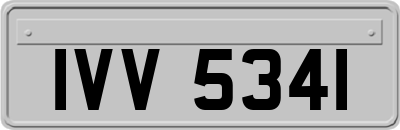IVV5341