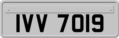 IVV7019