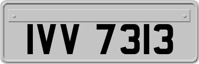 IVV7313