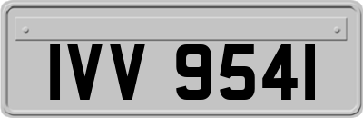 IVV9541