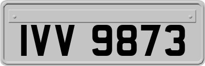 IVV9873