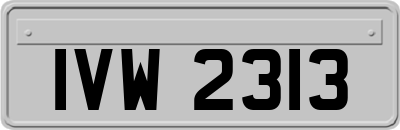 IVW2313