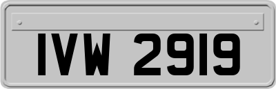 IVW2919