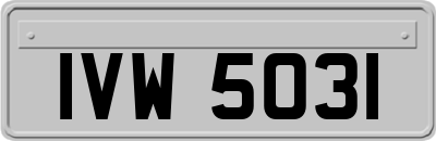 IVW5031