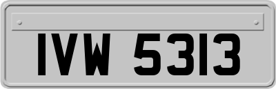 IVW5313