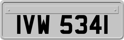 IVW5341