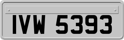 IVW5393