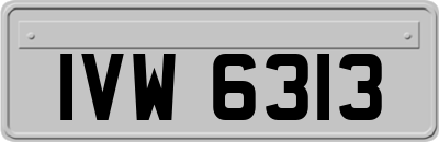 IVW6313