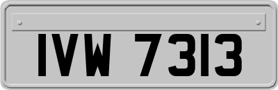 IVW7313